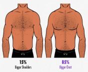 chest shoulder proportions for gay male aesthetics.jpg from gay men big