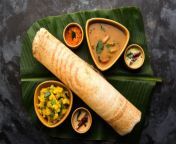 ss dosa.jpg from indian favourite l