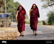 yangon myanmar feb 21 2016 buddhist monks walking on rural road in yangon myanmar yangon is a former capital of myanmar 2ajnnkh.jpg from myanmar ချေ