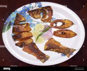 bengali food rohu fish fry also called as rui maach bhaja in bengali language bengali dish indian food indian dish indian cuisine 2ayn87k.jpg from indian bengali women sex videosসরাসরি বাসর