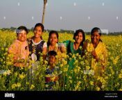 six indian bengali teenage girls in a blooming mustardrapeseed flowering field selective focusing 2c207jn.jpg from indian aunty outdor sexangla gajon videoanta saund xxabhi gand chudai com