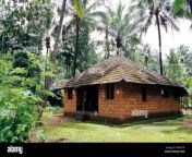 typical house in kerala village kerala india asia 2b452yk.jpg from kerala village sex newxx বাং
