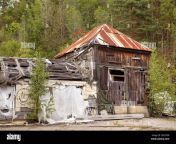 abandoned shanty building old ruin of derelict wooden house with forest behind 2b21ed0.jpg from shanty