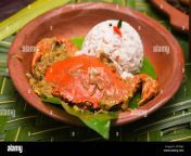 spicy hot kerala fish curry indian fish curry popular in goan bengali and sri lanka lankan fish curry red curry fried fish vindaloo crab roast 2d7mjjc.jpg from how to fish in survival war【url∶j777 ph】how to fish in survival war【url∶j777 ph】w6c
