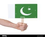 hand holding small card flag of pakistan 2g3j4wk.jpg from smallpakistan video page 1