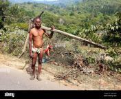 jatapus tribal old man wearing his traditional outfit carrying wooden plough at chinapolla village in seethampeta tehsil andhra pradesh india 2fm12c9.jpg from village naked old man lungi and bathing sexily