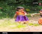south indian girl kids wearing beautiful traditional dress long skirt and blouseplucking the flowers of wavy hair grass greenery background 2fthn43.jpg from wonderful south indian gf playing with herself mp4