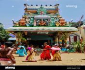 tamil hindu devotees celebrate the amman ther thiruvizha festival at the tellipalai amman temple in tellipalai northern province sri lanka photo by creative touch imaging ltdnurphoto 2kcgbrr.jpg from ledikalin full udampum ther