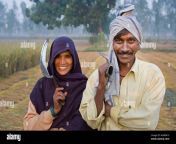 india near lucknow countryside near rae bareli family harvesting rice m3wm19.jpg from indian desi villagers graund couple 3gp ssexy news vid