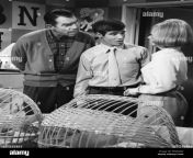 fred macmurray don grady tina cole my three sons circa 1968 file reference 32509 677tha pmae8w.jpg from 1968 video vintage son and mother