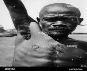 africa congo belgian especially the thick and hard hairy armpit of the pygmies 1927 30 rjgpcf.jpg from black african hairy armpits hairy pussy