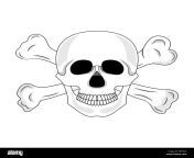 skull and crossed bones isolated on white background cartoon human skull with jaw vector illustration for any design w8y9kp.jpg from kankal cartoon