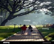 indian couple walking in a public park by victor albert road in mysore ay1f7w.jpg from andhra couple in public park sexmp4
