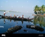 scenic view of kerala back waters and traveling native village kerala bhfwng.jpg from kerala village sex newxx বাং