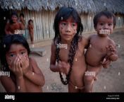 xingu indians in the amazone brazil c8rtbx.jpg from niña xingu
