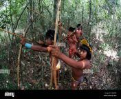 xingu indians hunting in the amazone brazil c8rw55.jpg from suku xingu hutan amazon all waw pussy