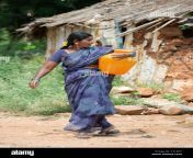 rural indian village woman collecting water from a communal water cy14kt.jpg from village area of desi woman fucking xxx pic