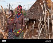 turmi ethiopia africa village lower omo valley hamar hammer tribe cx4tm4.jpg from tribe boobs