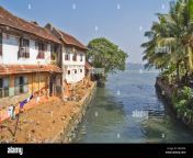 old houses of port kochi or cochin india lining the putrid polluted e8cwfa.jpg from av cochin xxxx photos