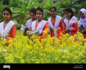 bangladeshi village girls are going to school in the muster field ed993a.jpg from bangla gramin
