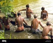 wetland pissi culture of fish catching kolkata calcutta west bengal eryxj1.jpg from indian bengali village puja pissinom forced son to have sex with heria