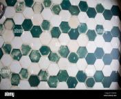 green white tiles in hamam royal bath in lalbagh fort bangla muslim f3gh8h.jpg from bangla bathroom shower