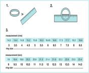 measure a ring you already have 1100x f5c59461 cb11 4653 9f46 b7e249b16c22 1445x jpgv1700625991 from custom fuck