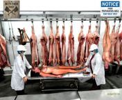 67688f4.jpg from dolcett meat processing plant porn a