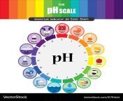 ph scale universal indicator color chart vector 15761444.jpg from ph page