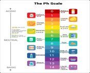 ph scale 1459x2048.png from model ph