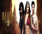 naagin 5 show banner.jpg from nagin tv show on colors pic