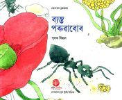 mzt317b.jpg from bengali young ant