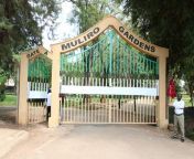jitpqvebm8gtohiho5f650bc5de9db.jpg from kenyan muliro gardens publ
