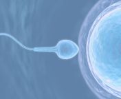 220720 what healthy sperm looks like 1920x pngv1658346159 from sperm coming out from