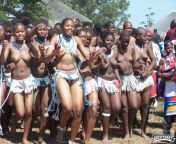 46e9115b3d6a8a3af091130f037a2341.jpg from zulu cultural maidens show vagina