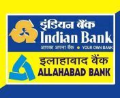 indian bank allahabad bank.jpg from xxx in office indian bank staff