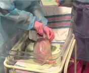 giving birth.jpg from give birth with a doll