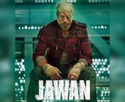 jawan australia and new zealand box office collections report jpg webp from jawan au