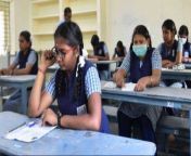 137702 tamil nadu school reopen pti.jpg from school tamil nadu ponu
