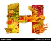 autumn stylized alphabet with foliage letter h vector 33411306.jpg from fall h