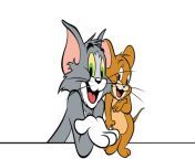 7 life lessons from tom and jerry cartoon.jpg from tom jerry carton