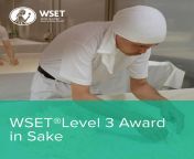 wset sake level3 1600x1600.jpg from waet