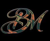bm logo.png 16.png from bm