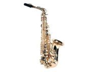 saxophone 7 jpgimpolicyqueryparamimresize360360aspectfit from surat sax