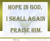 psalm 43 5 hope in god sage.jpg from 43 5