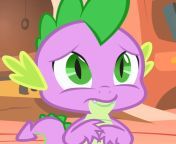 large.png from derpibooru spike gets all the equestria