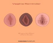 diversity.jpg from vagina collage public domain jpg