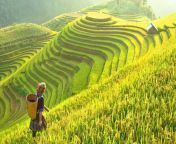 best places to travel asia 1525425271 785x440.jpg from asia vie