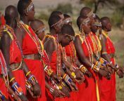 maasai women.jpg from culture 9 african tribes and traditions