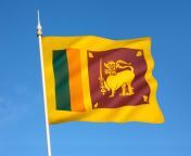 flag of sri lanka.jpg from 2023 new leke sri lankan